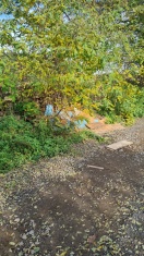 Foto: Abfall-Ablagerung/Bauschutt 